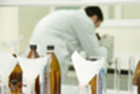 Loream Ipsum dolor sit amet,